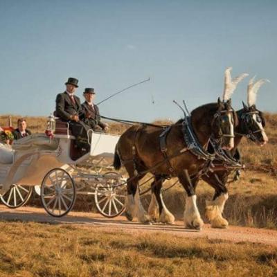 Traditional Wedding Horse & Carriage-Silver Package thumbnail 2