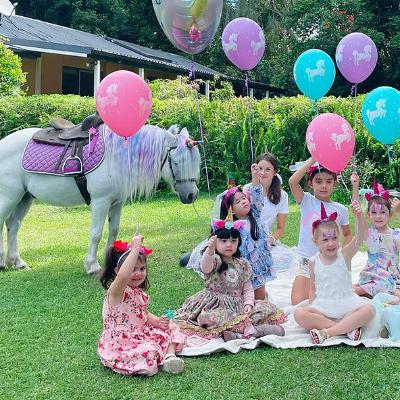 Unicorn High Tea Kids Party (up to 5 kids) thumbnail 4