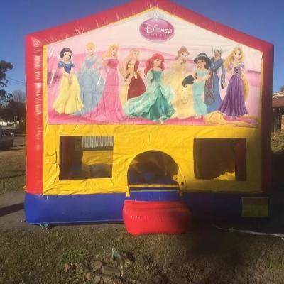 Disney Princess Medium Banner Jumping Castle