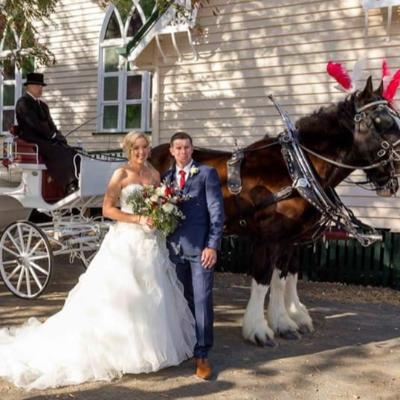 Traditional Wedding Horse & Carriage-Gold Package thumbnail 2