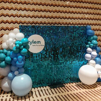 Teal Shimmer Wall Backdrop