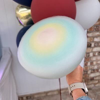 Semi-Automated Fairy Floss Machine thumbnail 4