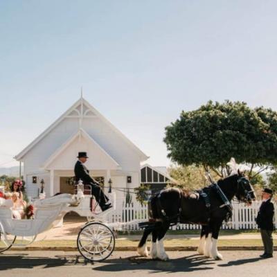 Traditional Wedding Horse & Carriage-Silver Package thumbnail 3