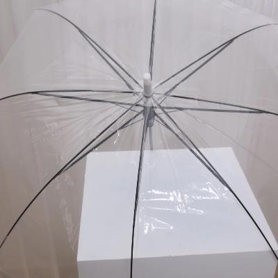 Ella Clear Umbrella