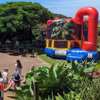 The Palace Jumping Castle with Slide thumbnail 1