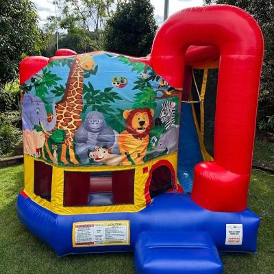 The Palace Jumping Castle with Slide thumbnail 2