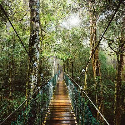 O'Reilly's and Lamington National Park Tour (Children 3-14 years) thumbnail 1