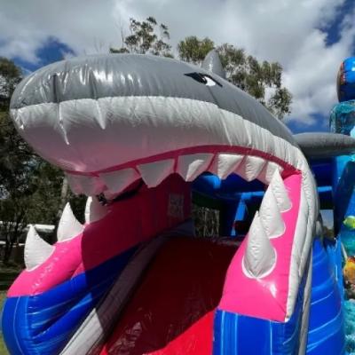 3D Shark Bite Combo Jumping Castle thumbnail 2