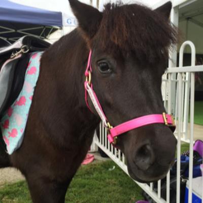 Kids Pony Party (1 pony) thumbnail 2