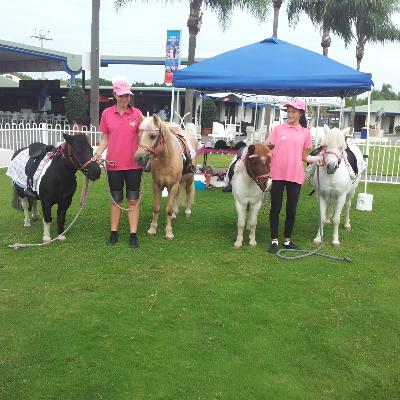 Kids Pony Party (2 ponies) thumbnail 2