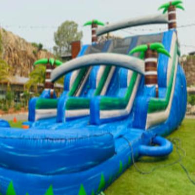 Blue Tropical Inflatable Waterslide