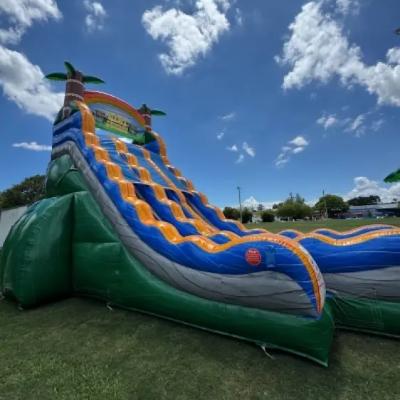 20m Tiki Plunge Dual Lane Waterslide thumbnail 4