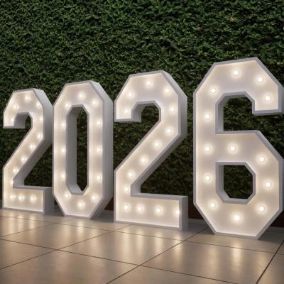Light up Numbers 2026 thumbnail 1