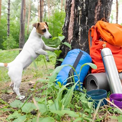 Camping Bundle
