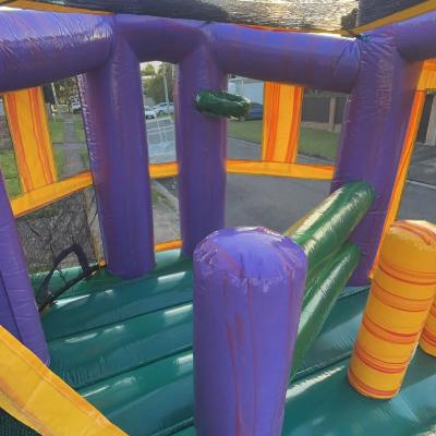 The Biggest Bouncer with Slide thumbnail 3