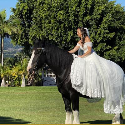 Ridden Horse Wedding Package thumbnail 1