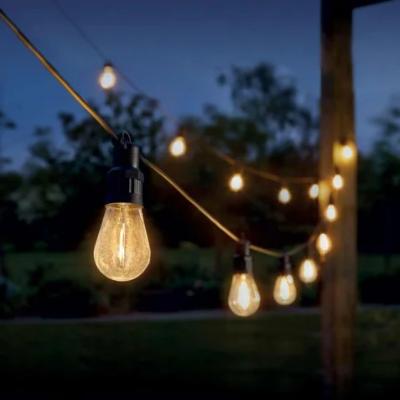 Festoon Lights 60m