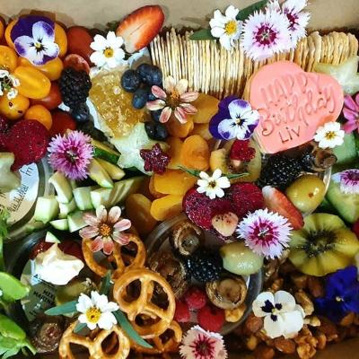 Large Vegetarian Grazer thumbnail 1