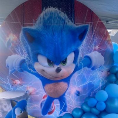 Sonic the Hedgehog Round Backdrop package thumbnail 2