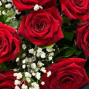Roses Decoration