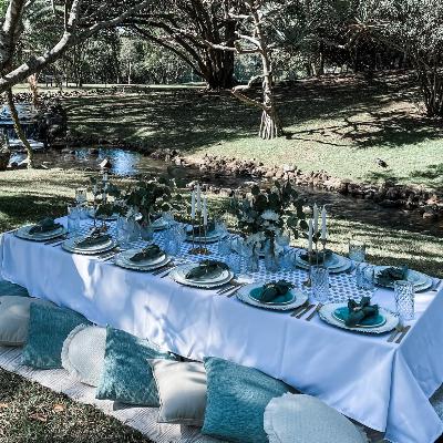 Baby Shower Picnic Package (13-18 guests) thumbnail 6