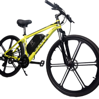 RENAG ebike thumbnail 1