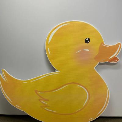 Duck Standee