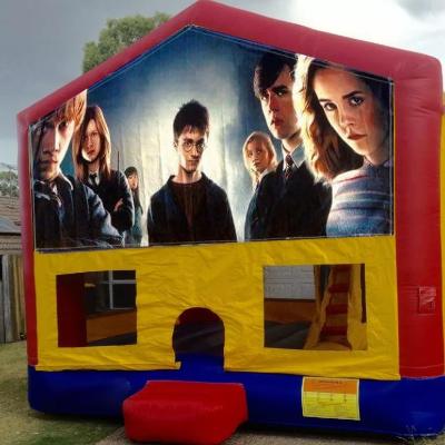 Harry Potter Medium Banner Jumping Castle thumbnail 1