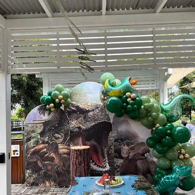 Dinosaur Arch Backdrop package thumbnail 1
