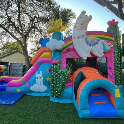 3D Leaping Llama Combo Jumping Castle