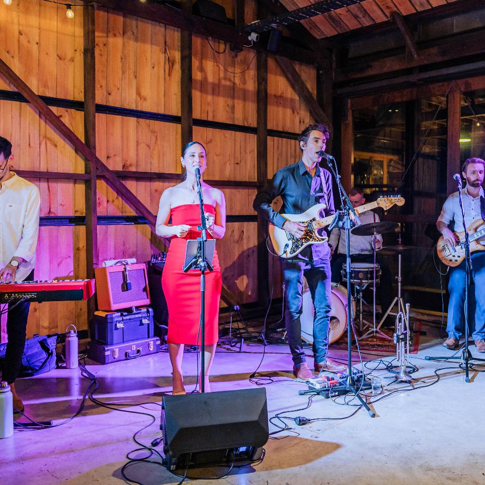 Wedding Reception Band (5pc)