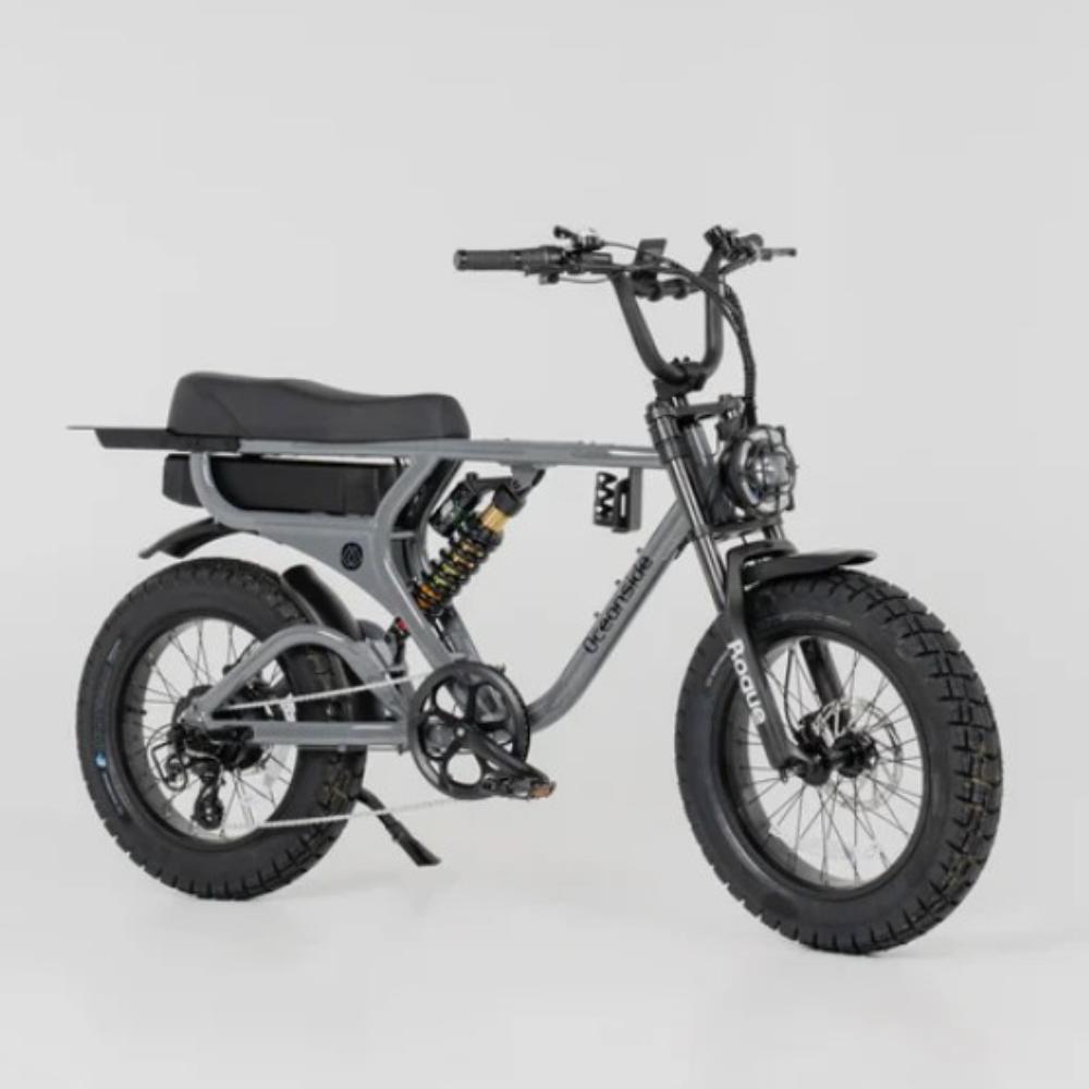 Premium Fat Tyre E-Bike
