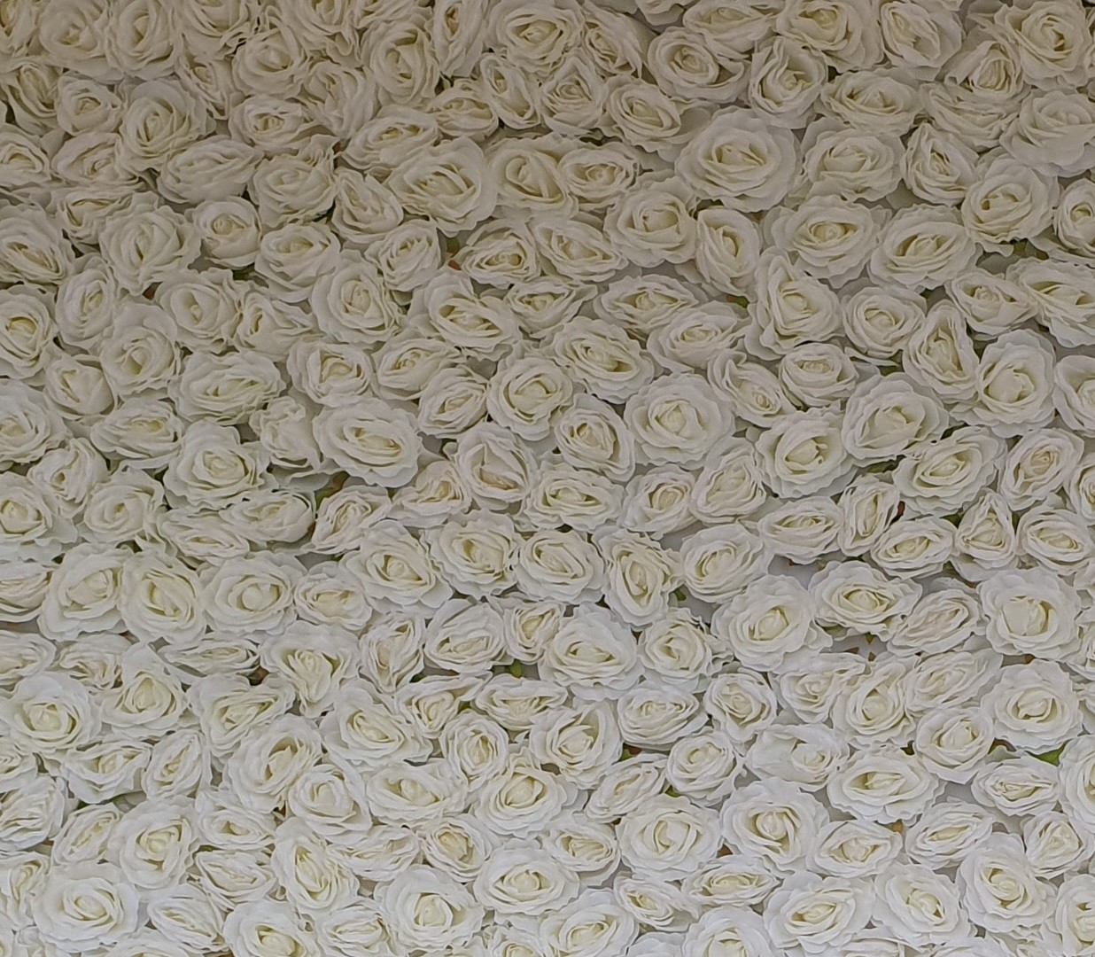 Flower Wall - White Roses thumbnail 4
