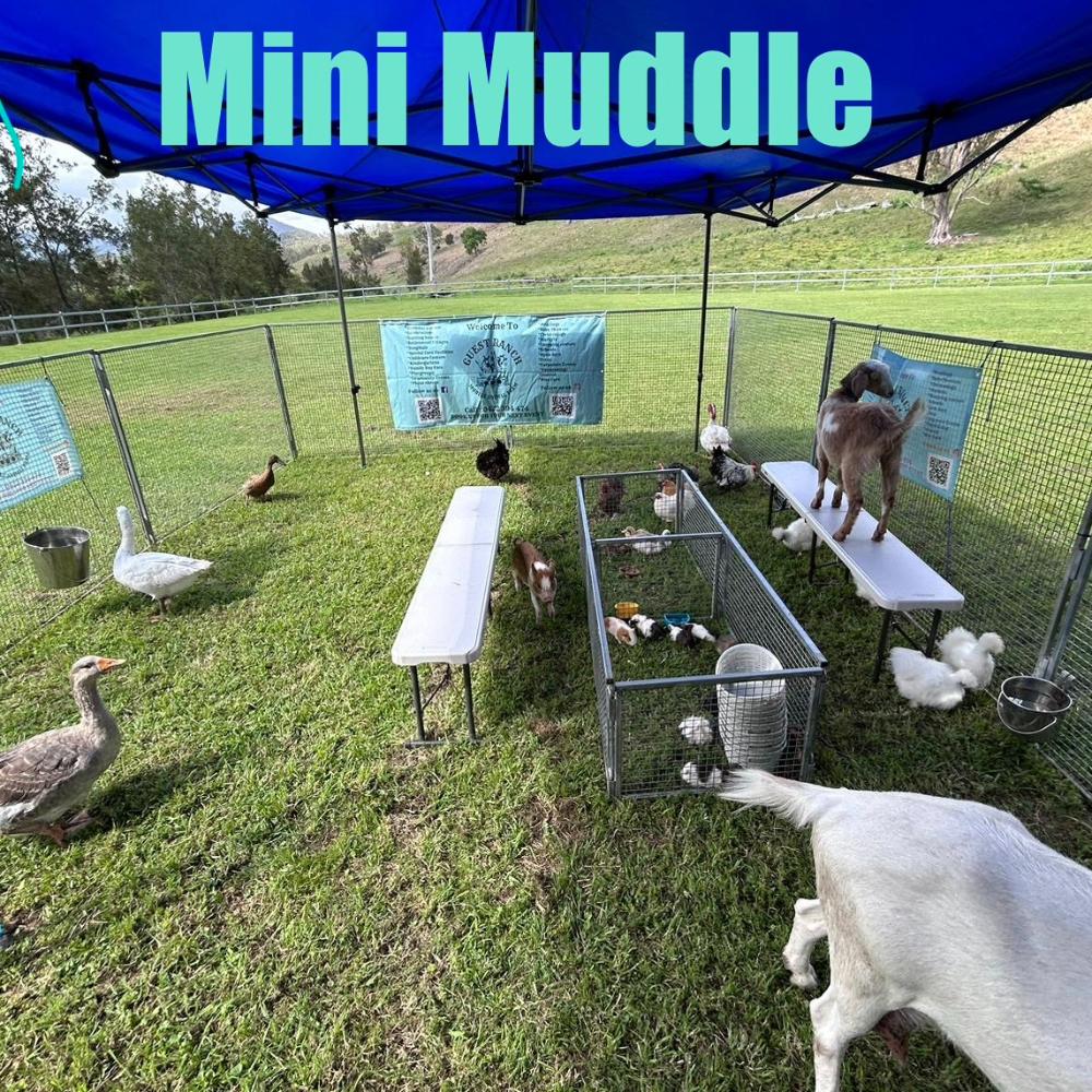 Mini Muddle Petting Zoo