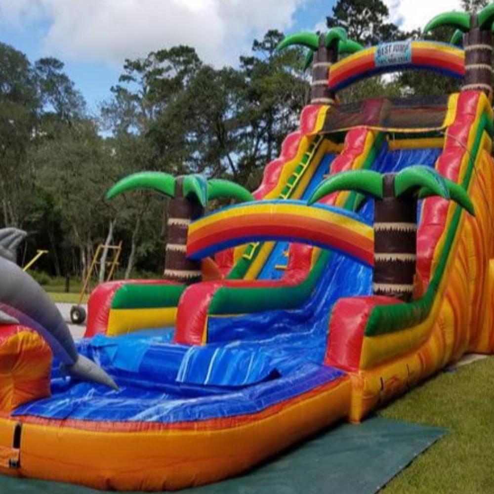 Dolphin Tropical Inflatable Waterslide