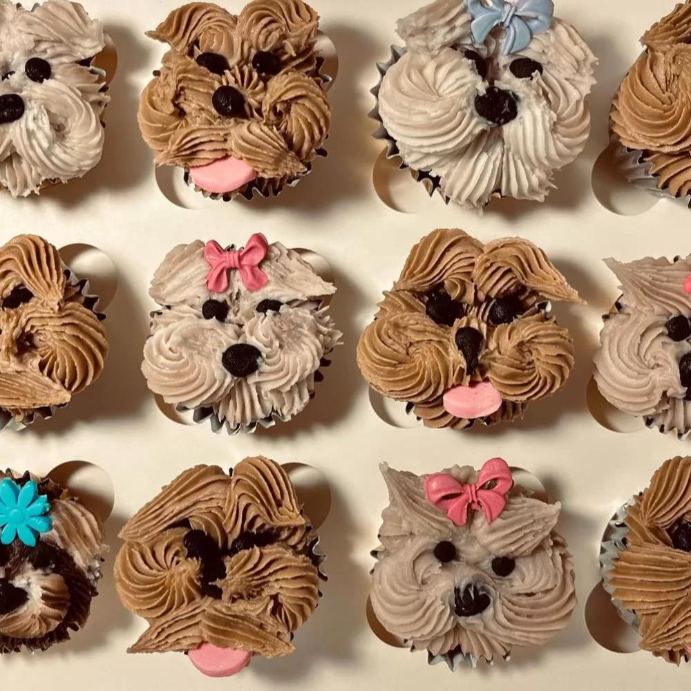 Pupcake Mini - Cupcake minis