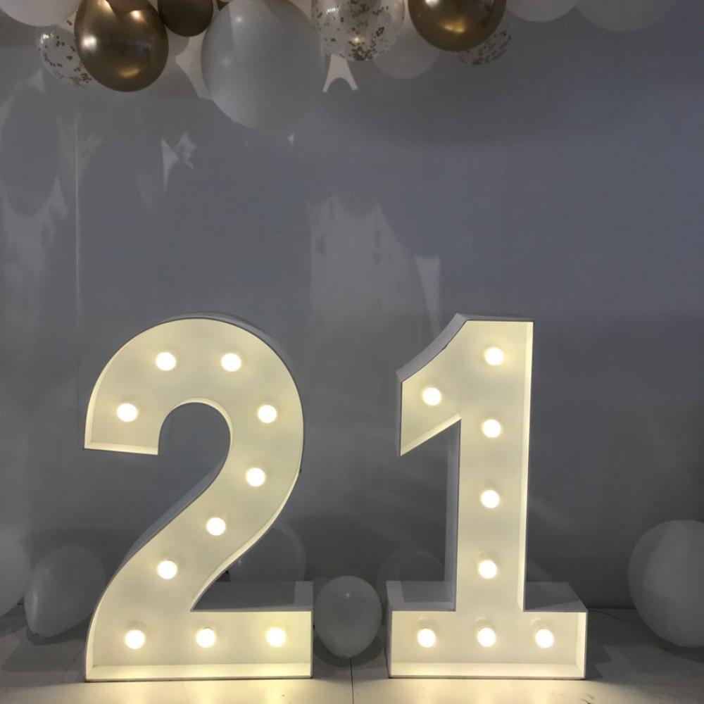 Double Digit Light Up Numbers