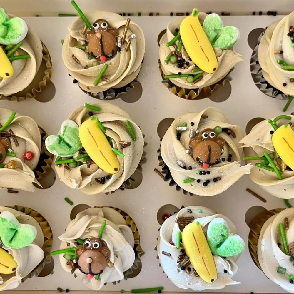 Custom Cupcake Minnies