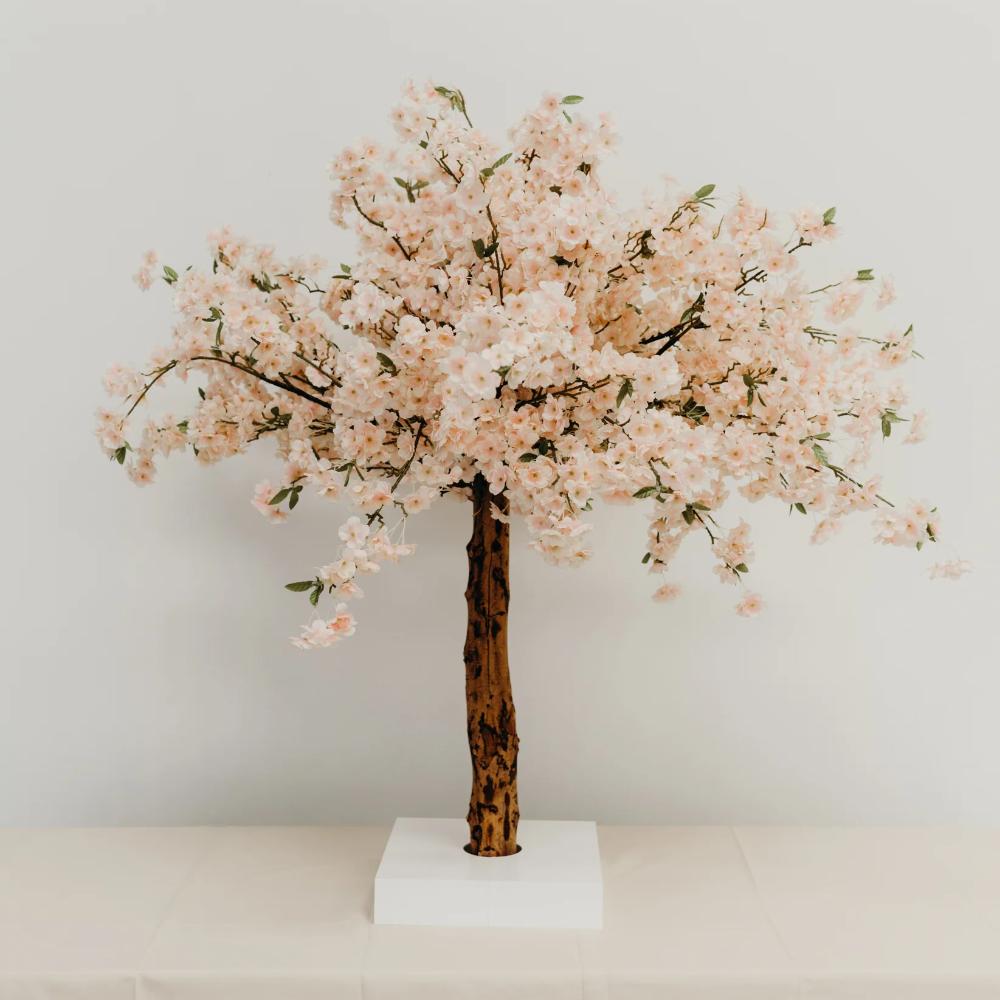 Pink Table-top Cherry Blossom Tree