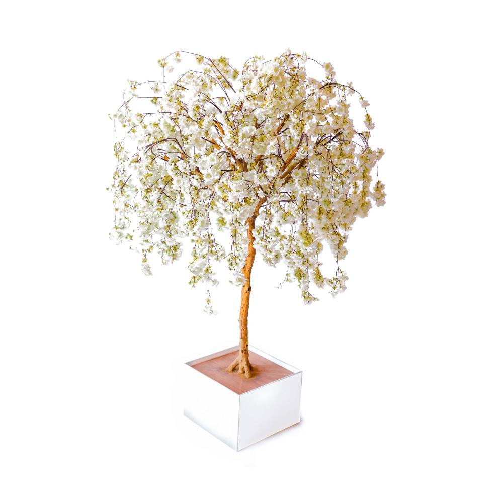 White Table Top Trees (set of 12)