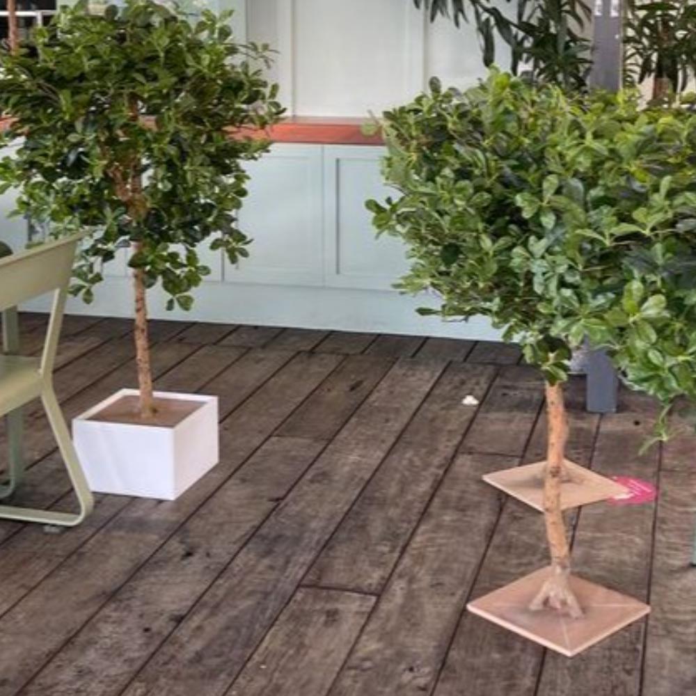Green Table Top Trees (set of 15)