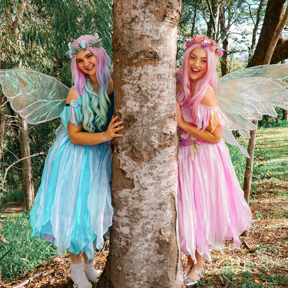 Enchanted Fairy Character Theme Party (2x Fairies)