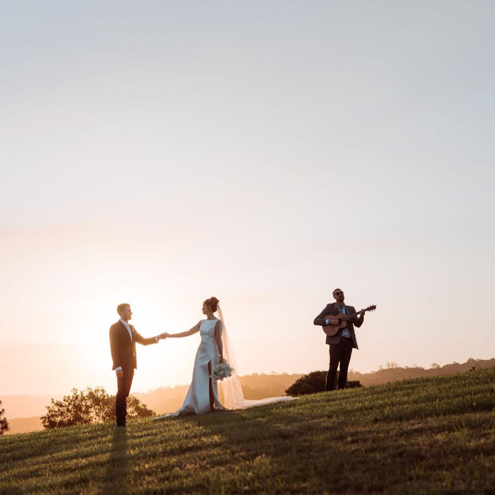 Wedding Musician - Half Day/Reception to End