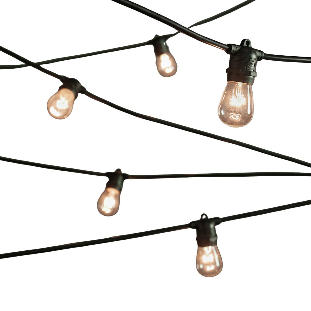 Festoon Lights (30m)