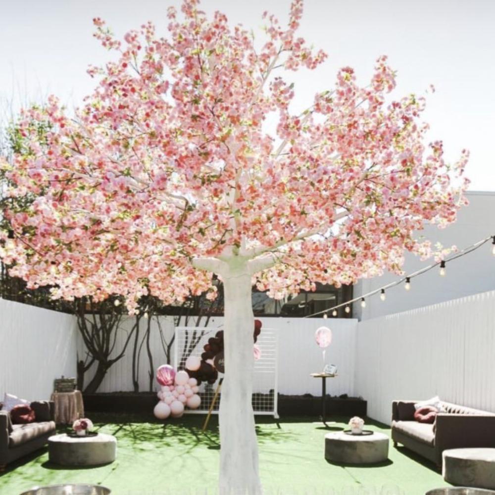 4m Pink Blossom Tree