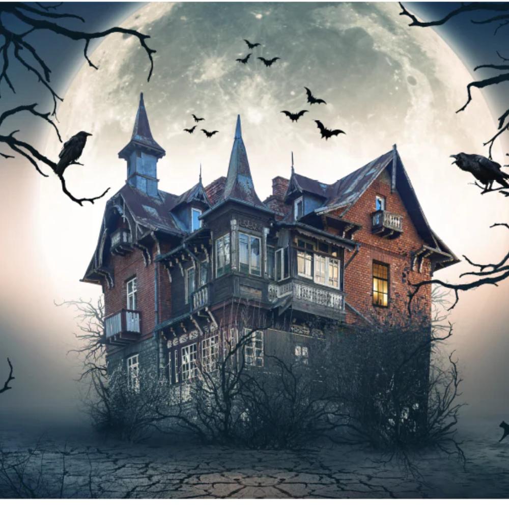 Haunted House Rectangle Backdrop