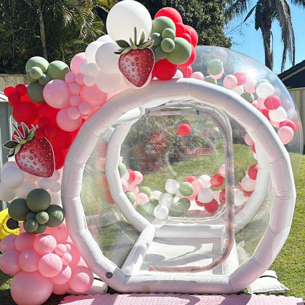 Standard Bubble House