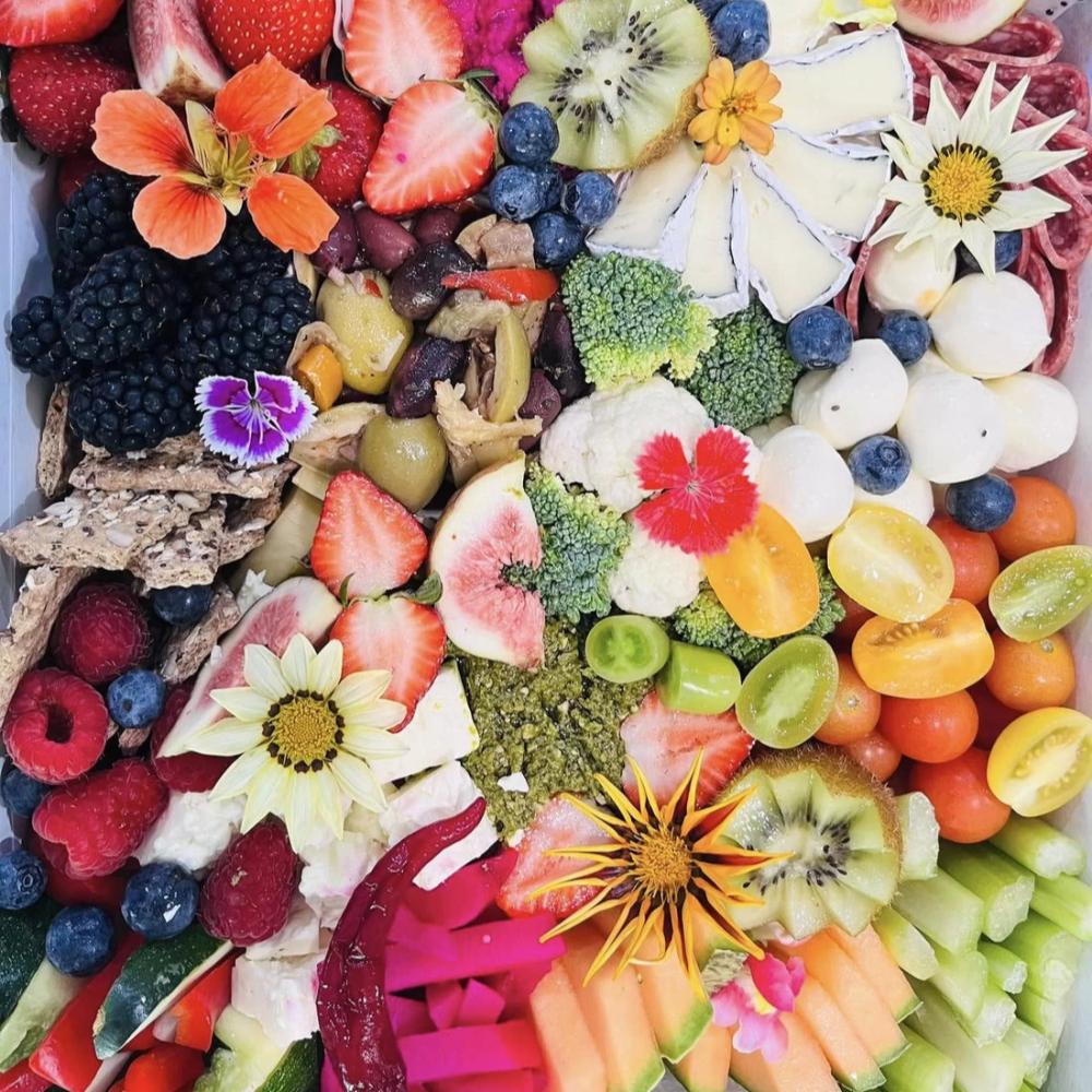 Medium Vegetarian Grazer