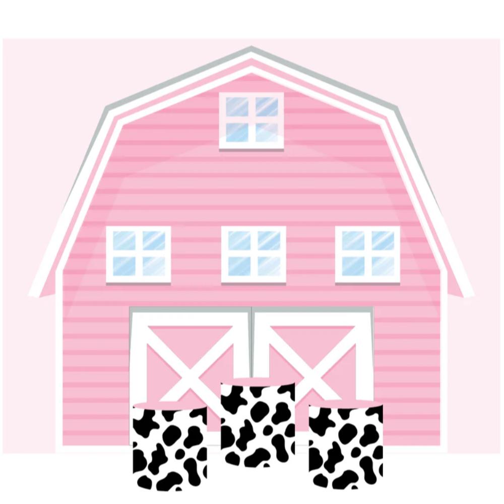 Pink Barn Rectangle Backdrop Package