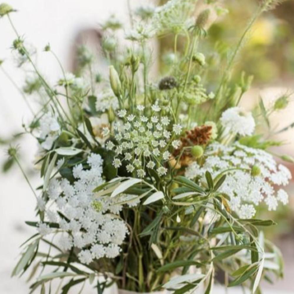 wandering Folk picnic rug Forest